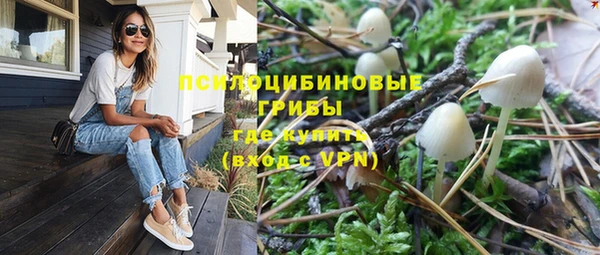 спайс Инсар