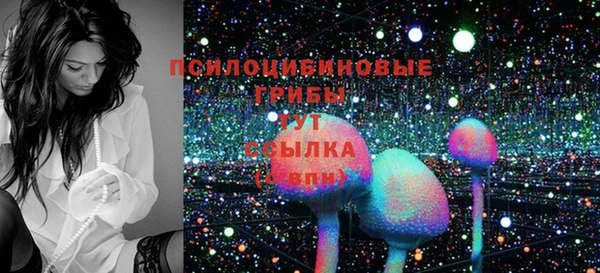 спайс Инсар
