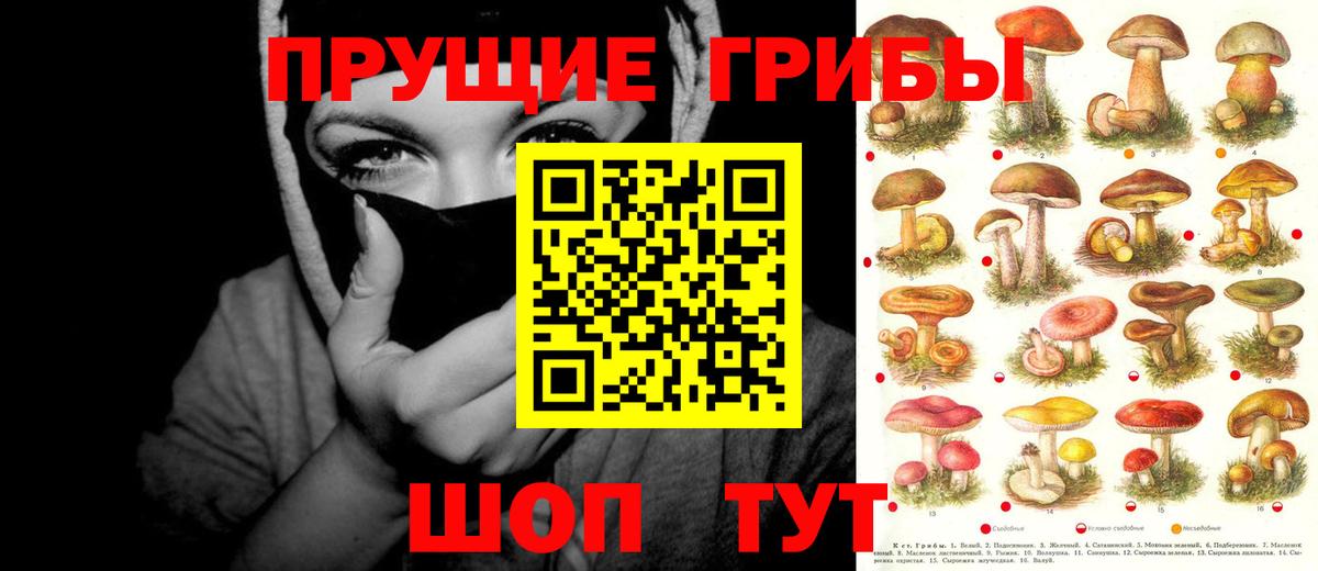 Псилоцибиновые грибы GOLDEN TEACHER Углич